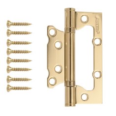 Петля накладная Avers 100*63*2-B2-G