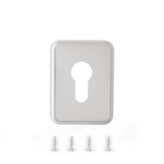 Накладка декоративная Avers DP-15.mini-C-CR